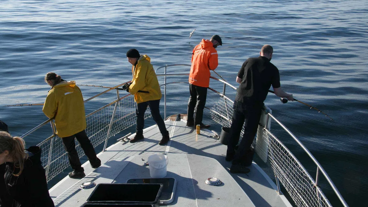 Elding sea angling boat leaving Reykjavik Old Harbour for the fishing grounds of Faxaflói on a fishing tour in Iceland
