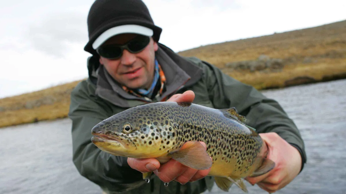 Fly angler casting on an Icelandic river on a private lake and river fishing tour from Reykjavik, Iceland