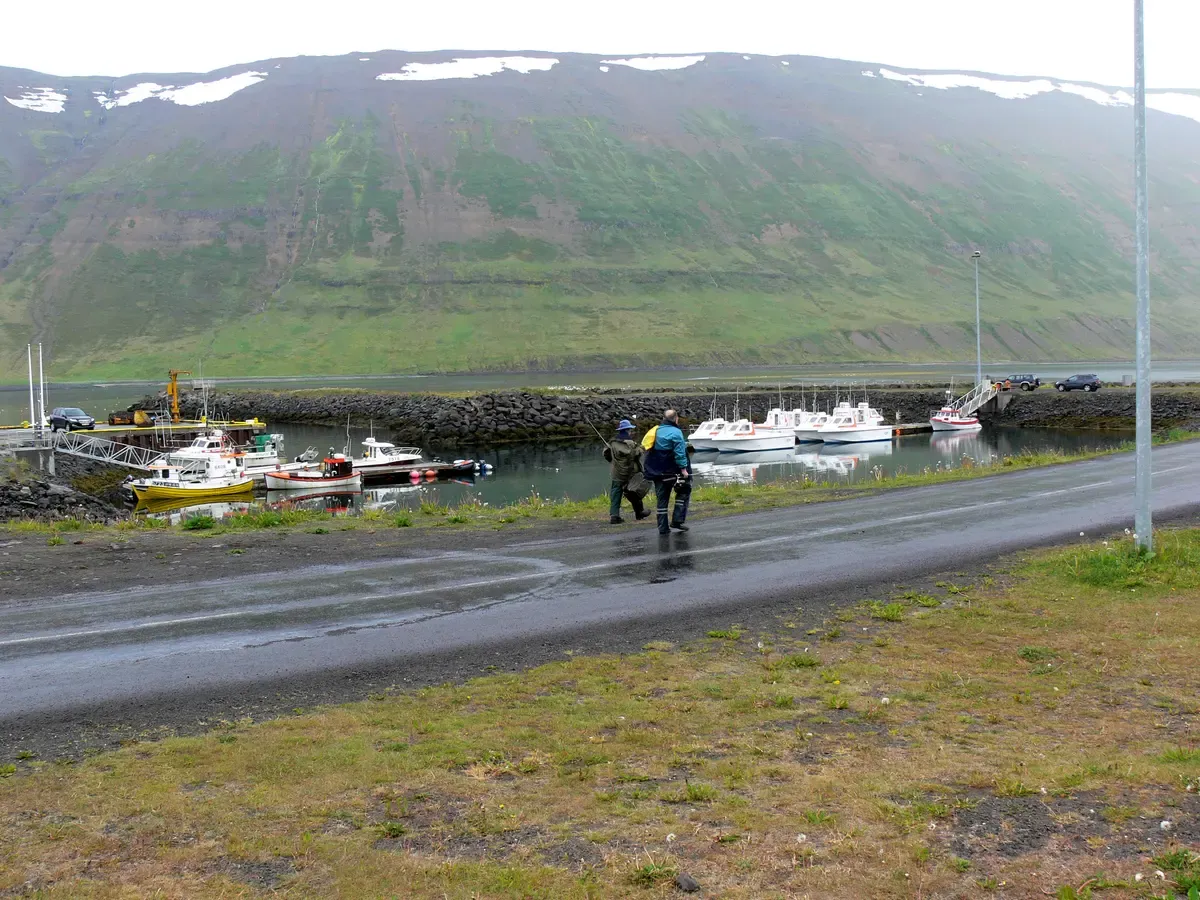 Small fishing boats moored in the harbour at Suðureyri in the Westfjords, a base for sea fishing in Iceland